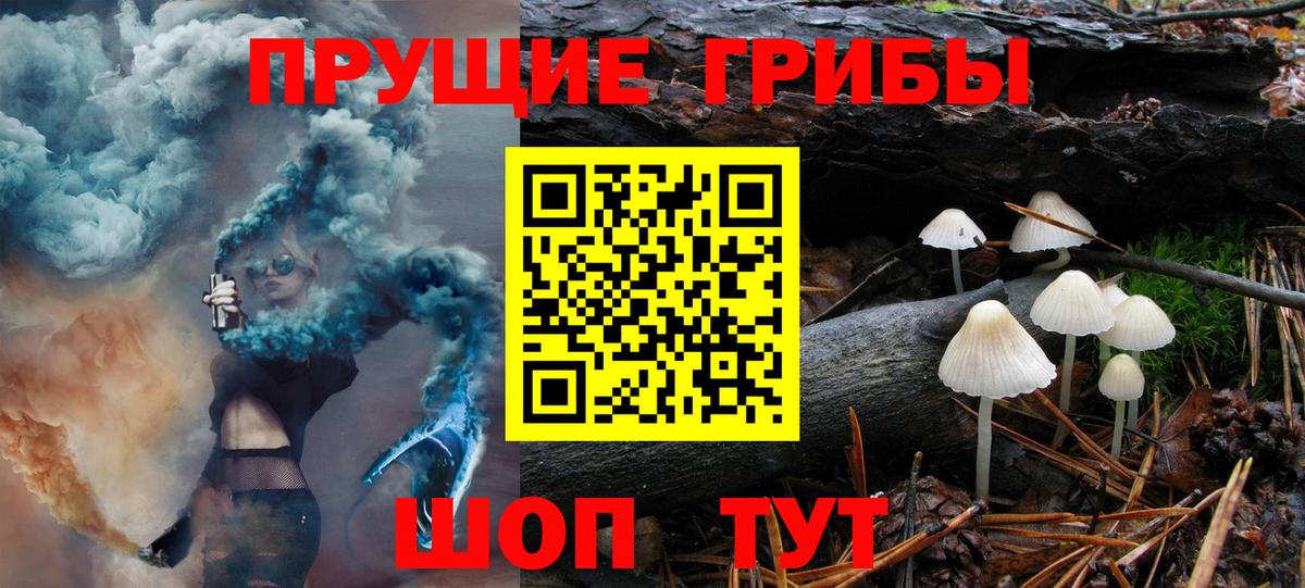 Алексеевка  магазин  наркотиков  Вход с VPN  Галлюциногенные грибы ЛСД  Галлюциногенные грибы мицелий 