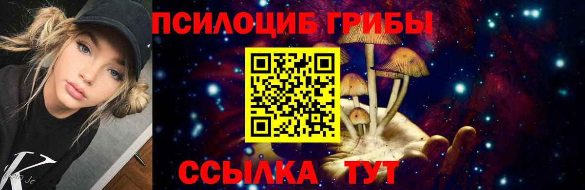 Галлюциногенные грибы Psilocybe Алексеевка